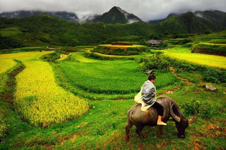 Day 2: Mai Chau – Phu Yen (160km – 5 hours riding)