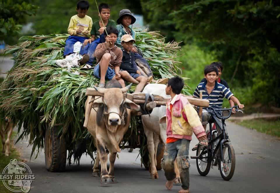 Day 7: Dalat - Bao Loc (140 km - 4 hours riding)