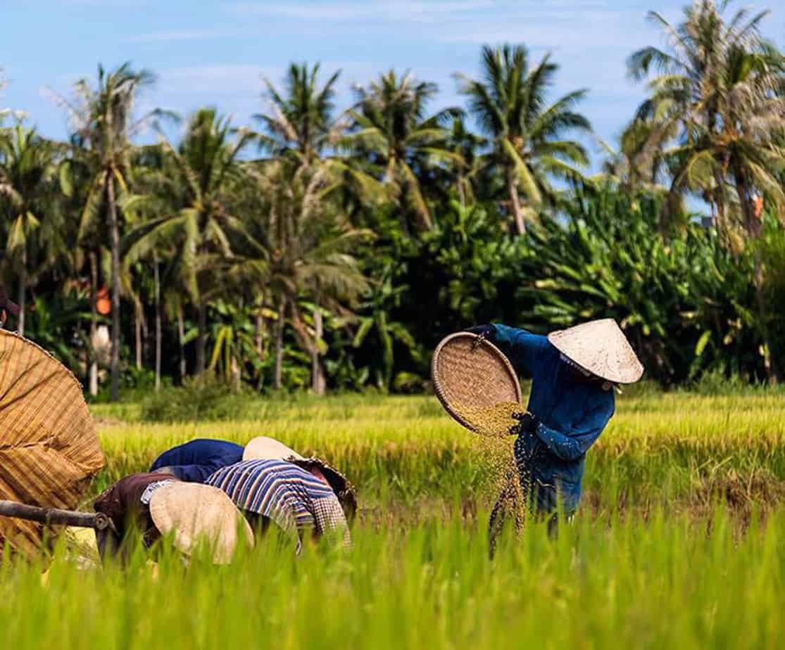 Day 1: Hoi An - Kham Duc (150 km - 5 hours riding)