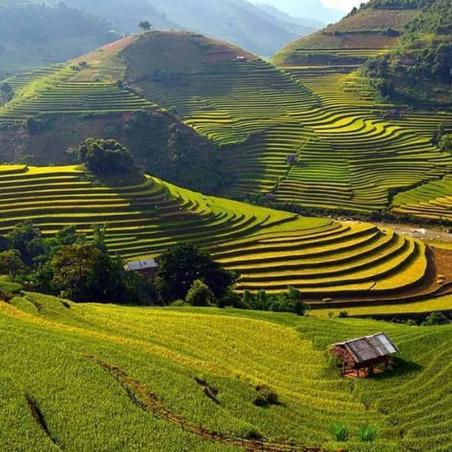 Stunning rice fields in Sapa, Easy Riders Vietnam