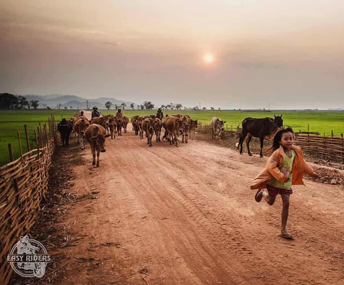 Day 5: Bao Loc - Mui Ne (170 km - 5 hours riding)