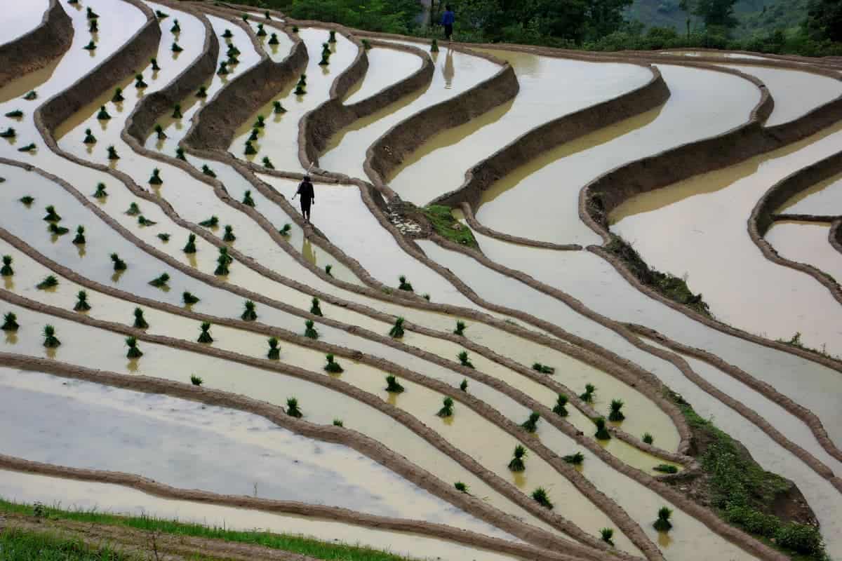 Day 6: Bac Ha – Ha Giang (190 km – 6 hours riding)