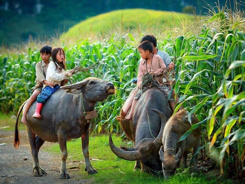 Experience the real Vietnam by Motorbike!