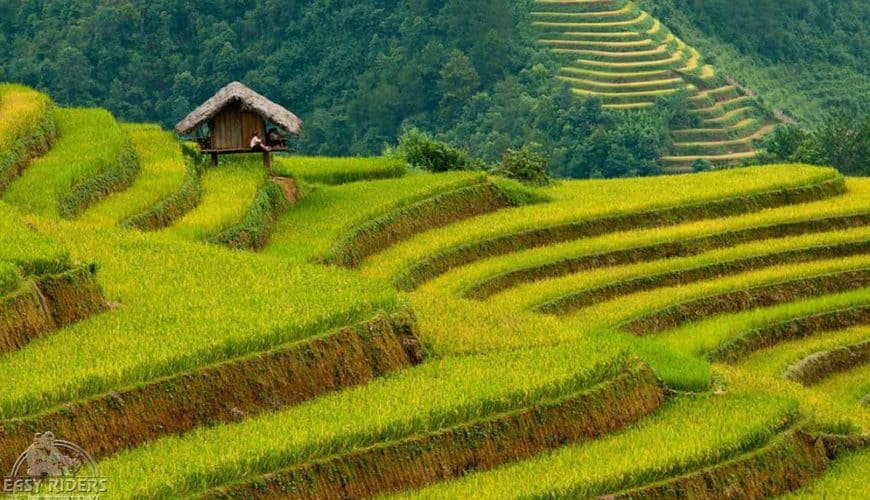 Easy Rider Tour from Hoi An to Dalat