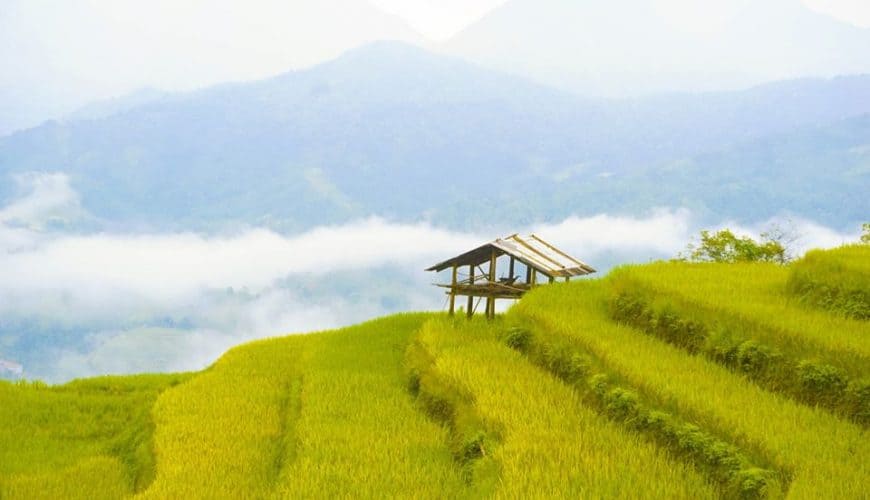 Rice terraces, Easy Riders Vietnam