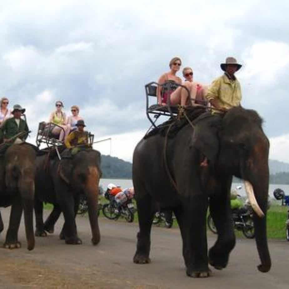 Elephant Riding in the Central Highlands