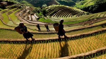 Mu Cang Chai landscape, Easy Riders Vietnam