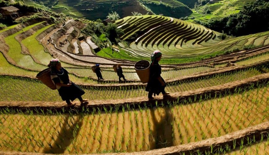 Mu Cang Chai landscape, Easy Riders Vietnam