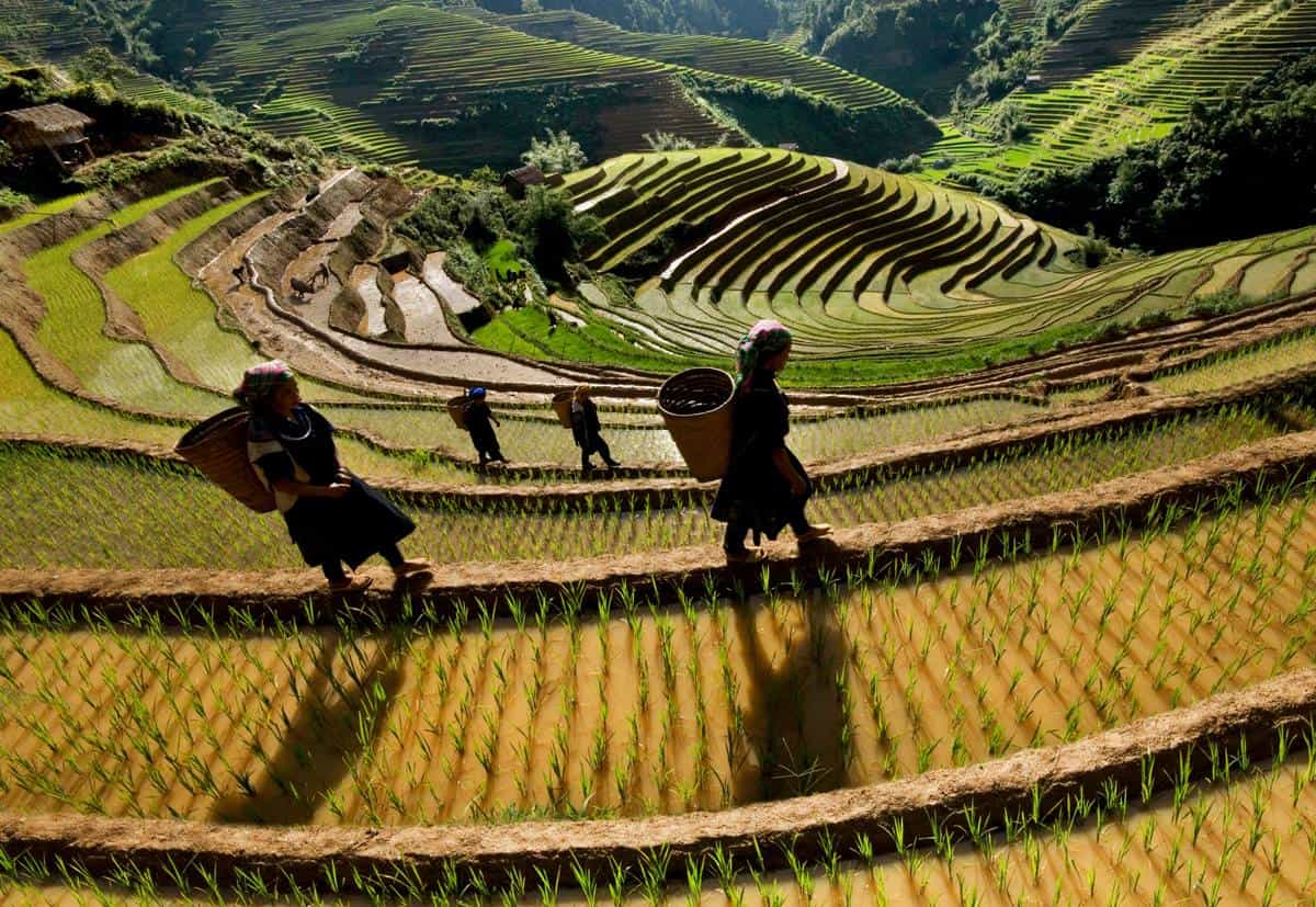 Mu Cang Chai landscape, Easy Riders Vietnam