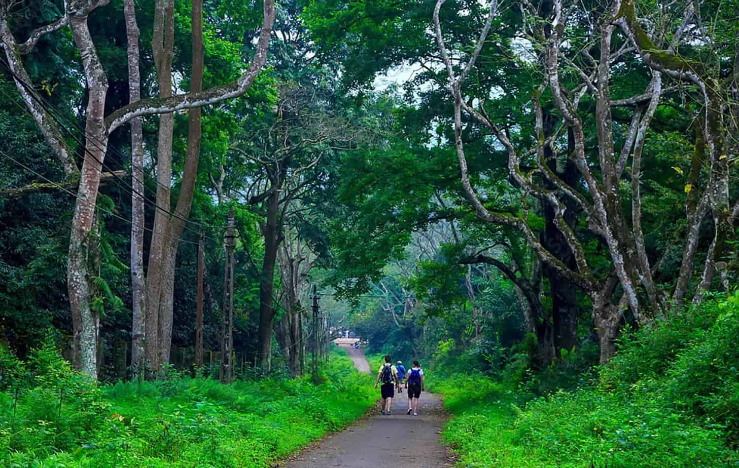 Cuc Phuong National Park, Vietnam