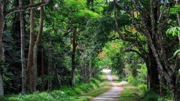 Best National Parks in Vietnam