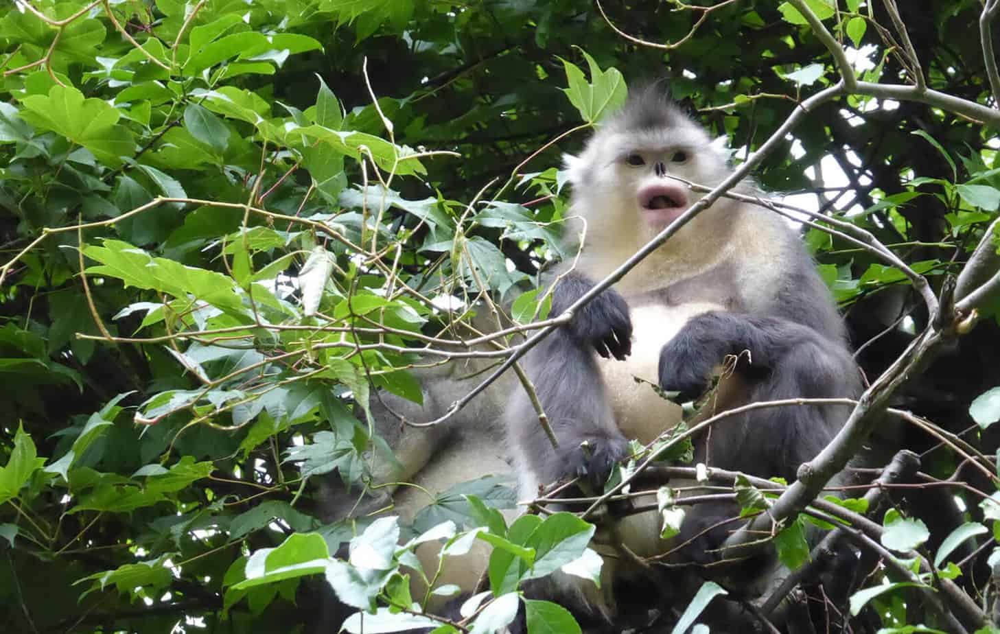 Top 12 Things to Do in Ha Giang - Explore Du Gia National Park