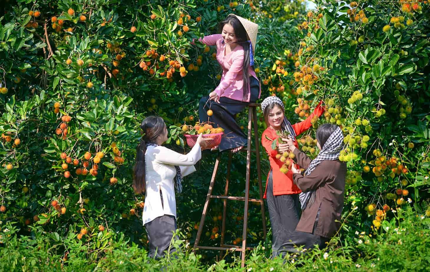 Top 12 Things to Do in the Mekong Delta - Explore Fruit Orchids