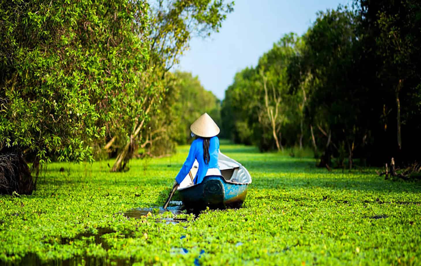 Best Things to Do in the Mekong Delta - Explore Tra Su Bird Sanctuary