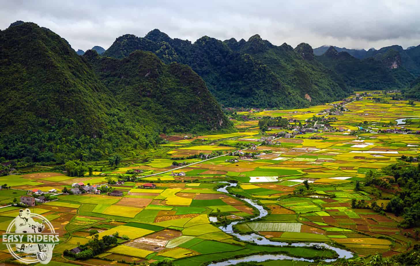 Vietnam's beautiful rice fields - Bac Son Valley