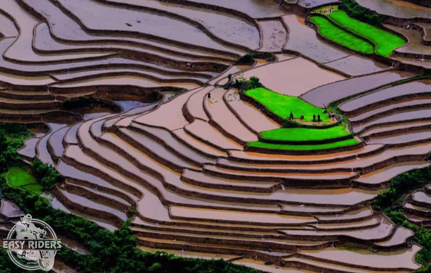 Beautiful rice terraces of Mu Cang Chai, Yen Bai, Vietnam