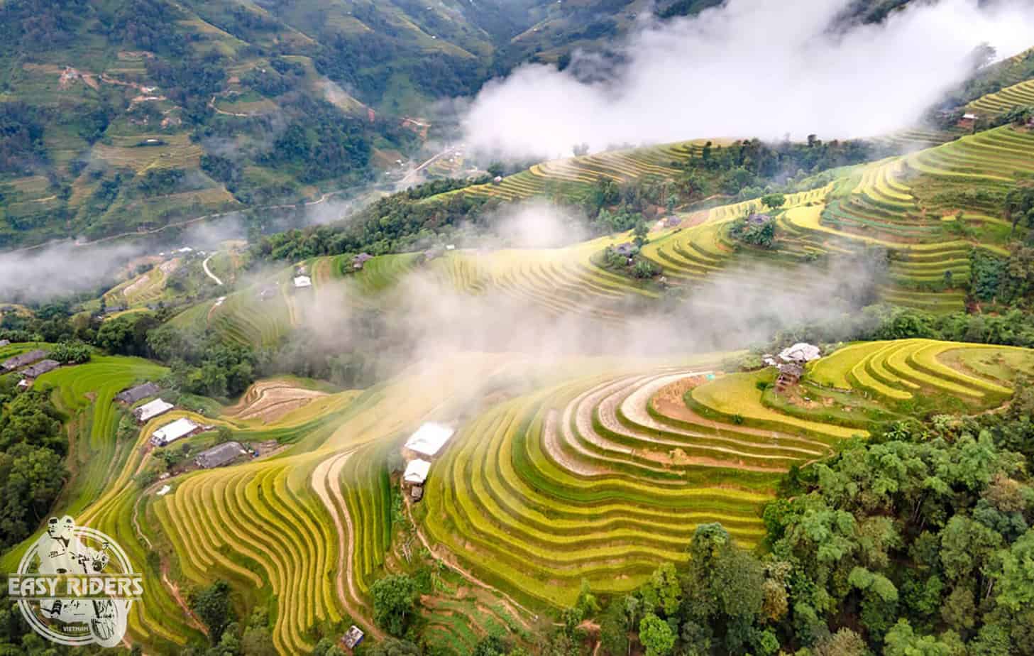 Beautiful rice fields in Vietnam - Hoang Su Phi