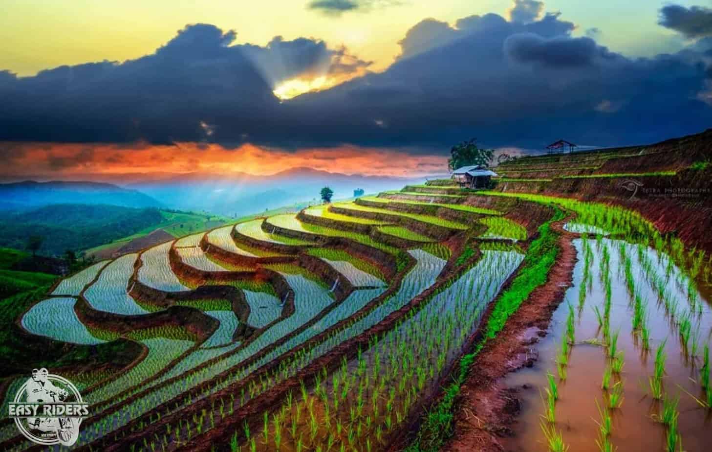 Beautiful rice terraces of Mai Chau, Hoa Binh
