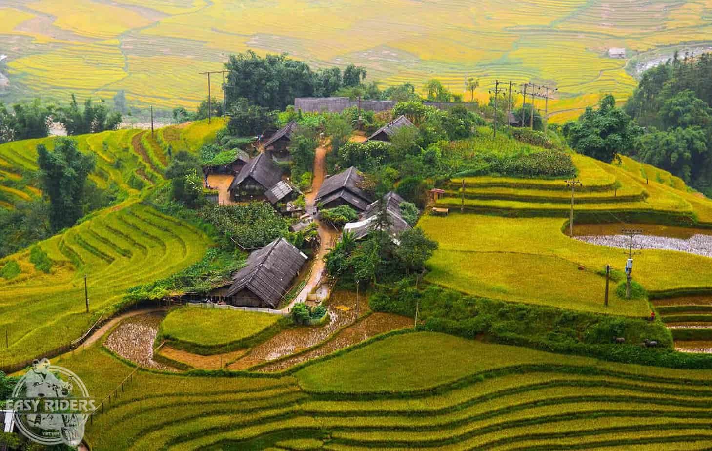 Beautiful rice terraces in Vietnam - Sa Pa